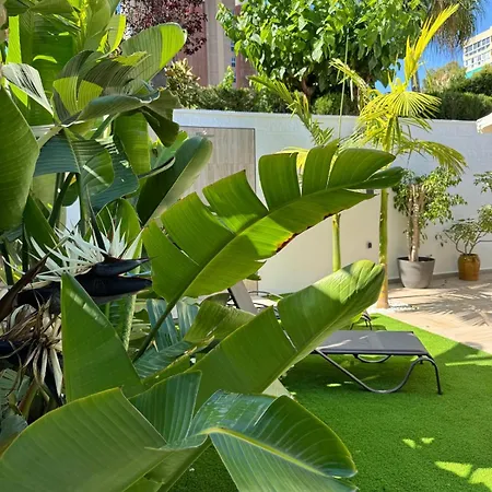 La Casita Garden By Sunset Apartment *